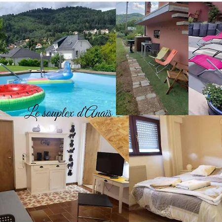 Le Souplex D'Anais Bed & Breakfast Ширмек Екстериор снимка
